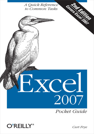 Excel 2007 Pocket Guide. 2nd Edition